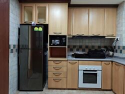 Emerald Garden (D1), Condominium #561778941